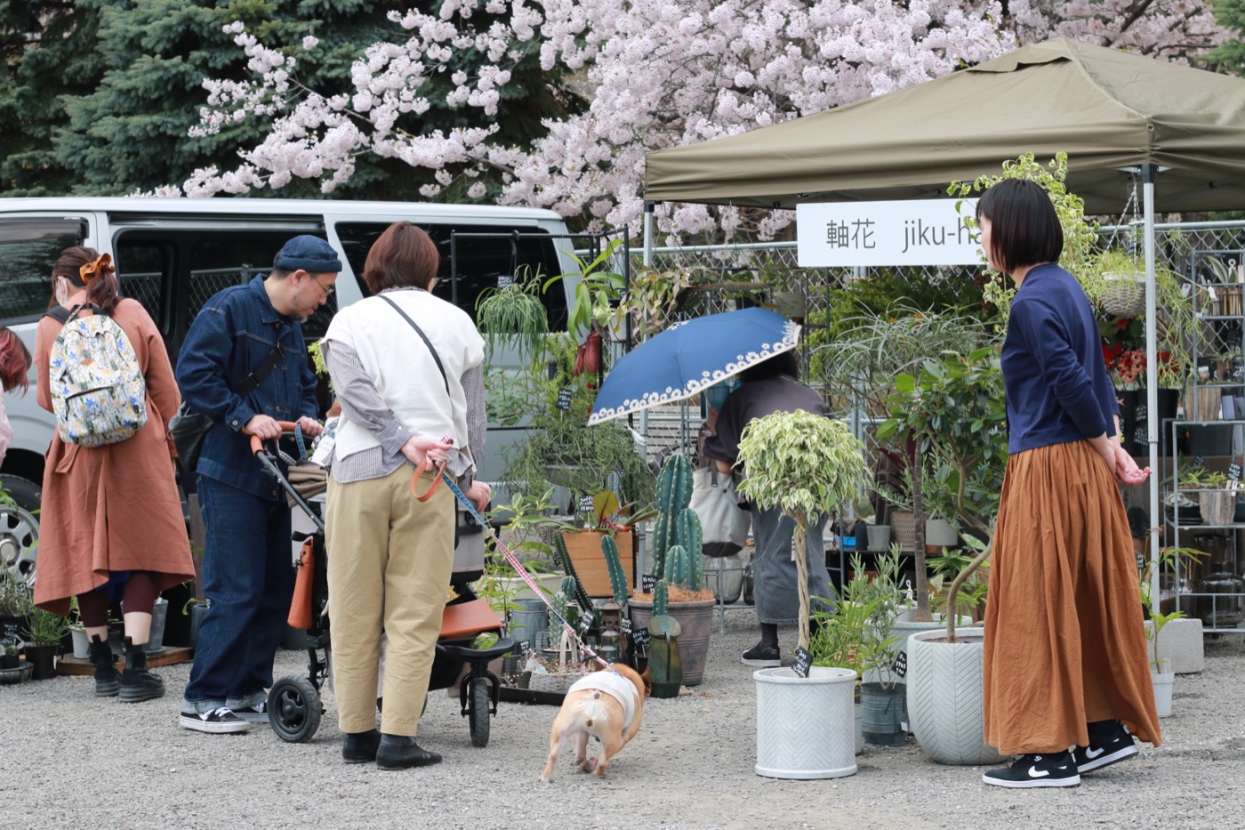 花と暮らしのさっぽろマルシェ 2025 会場風景