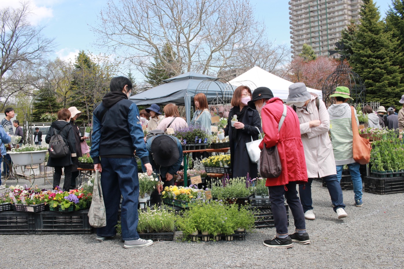 花と暮らしのさっぽろマルシェ 2025 会場風景