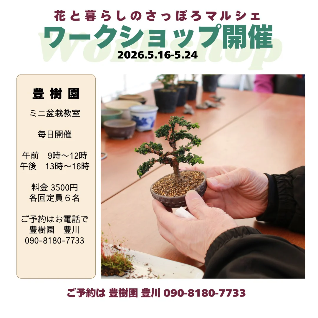 豊樹園 · ミニ盆栽教室