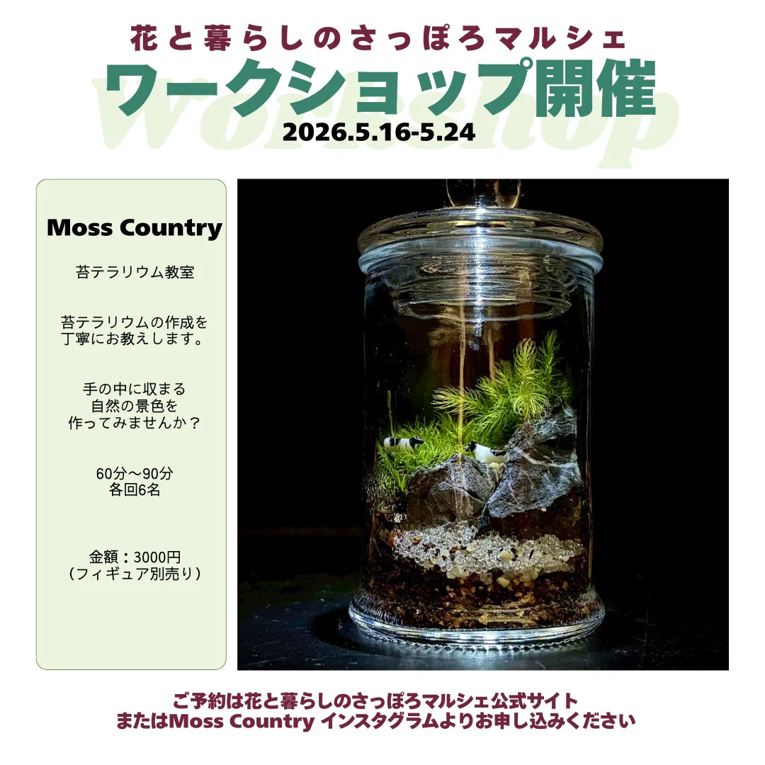 Moss Country · 苔テラリウム教室